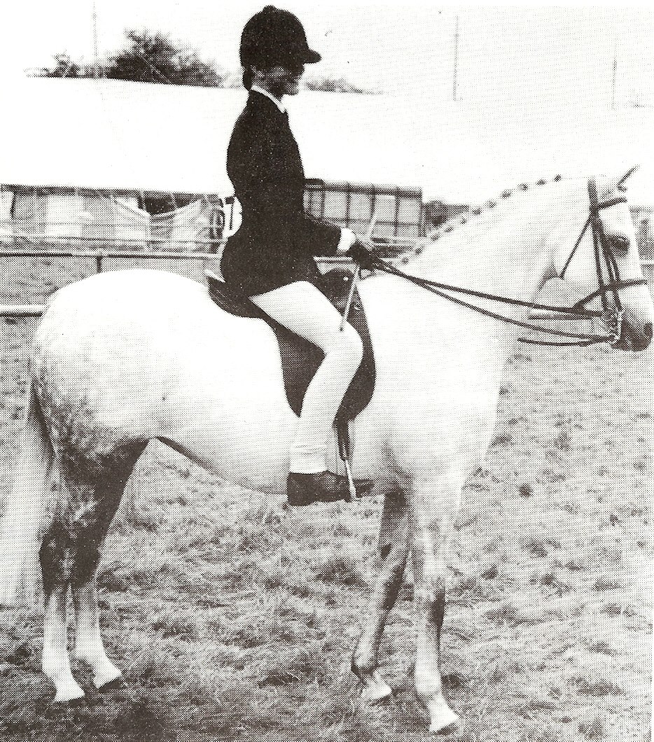Wharf Domino - Grey (Twylands Troubadour ex Eyebrook Showgirl) Ridden by J A Bowman Owned and bred by Mr A Smith